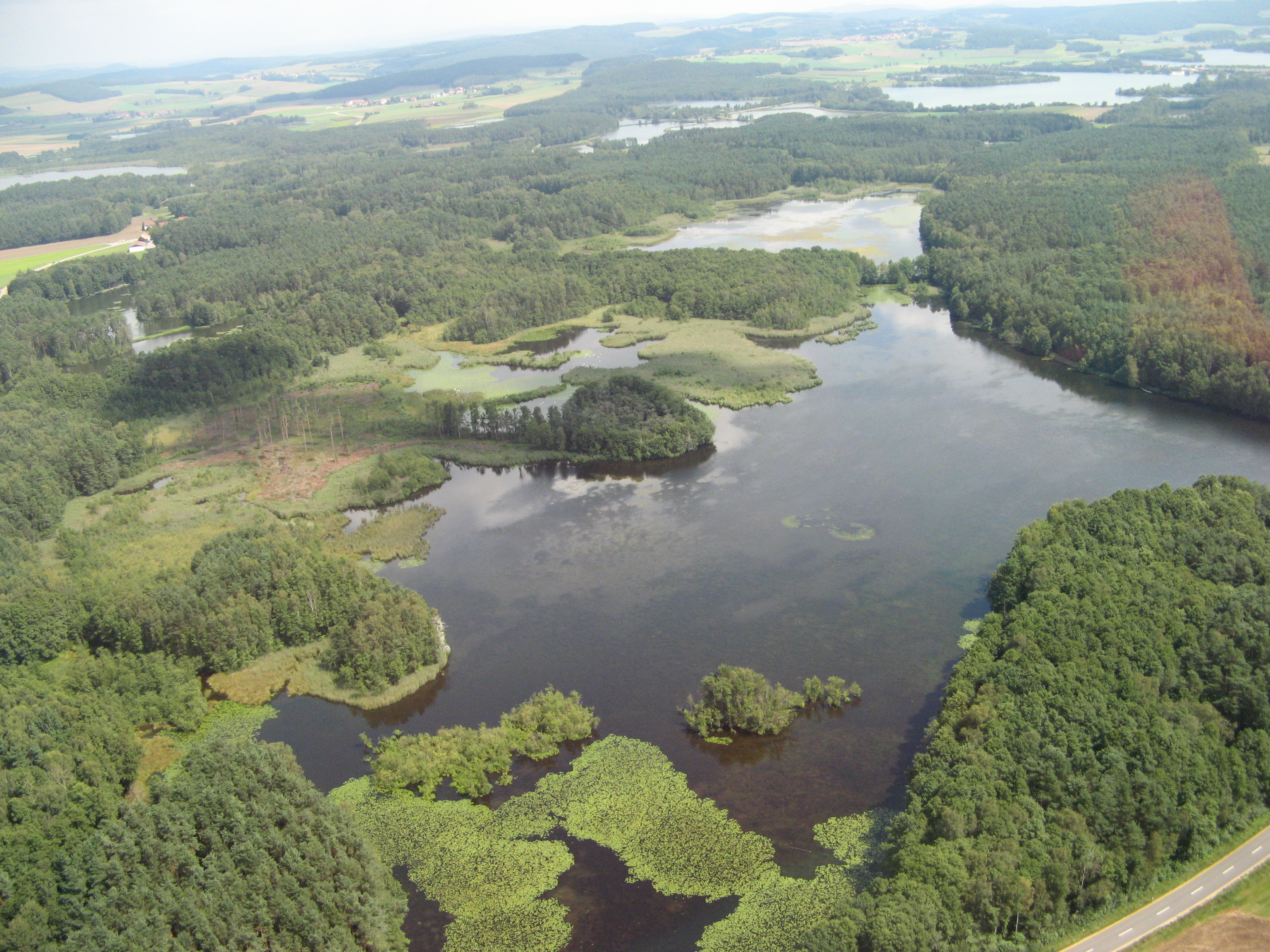 archiv.johannes-glaser.de - Fliegen - 331