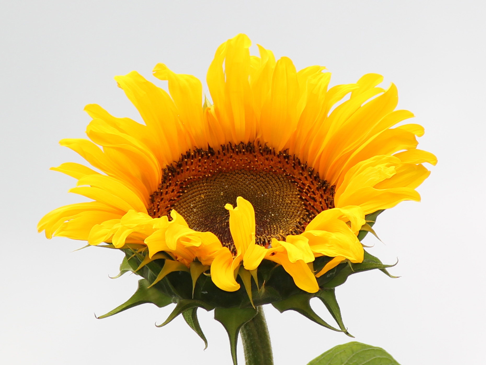 archiv.johannes-glaser.de - Produkte - ContentManagementSystem - 96