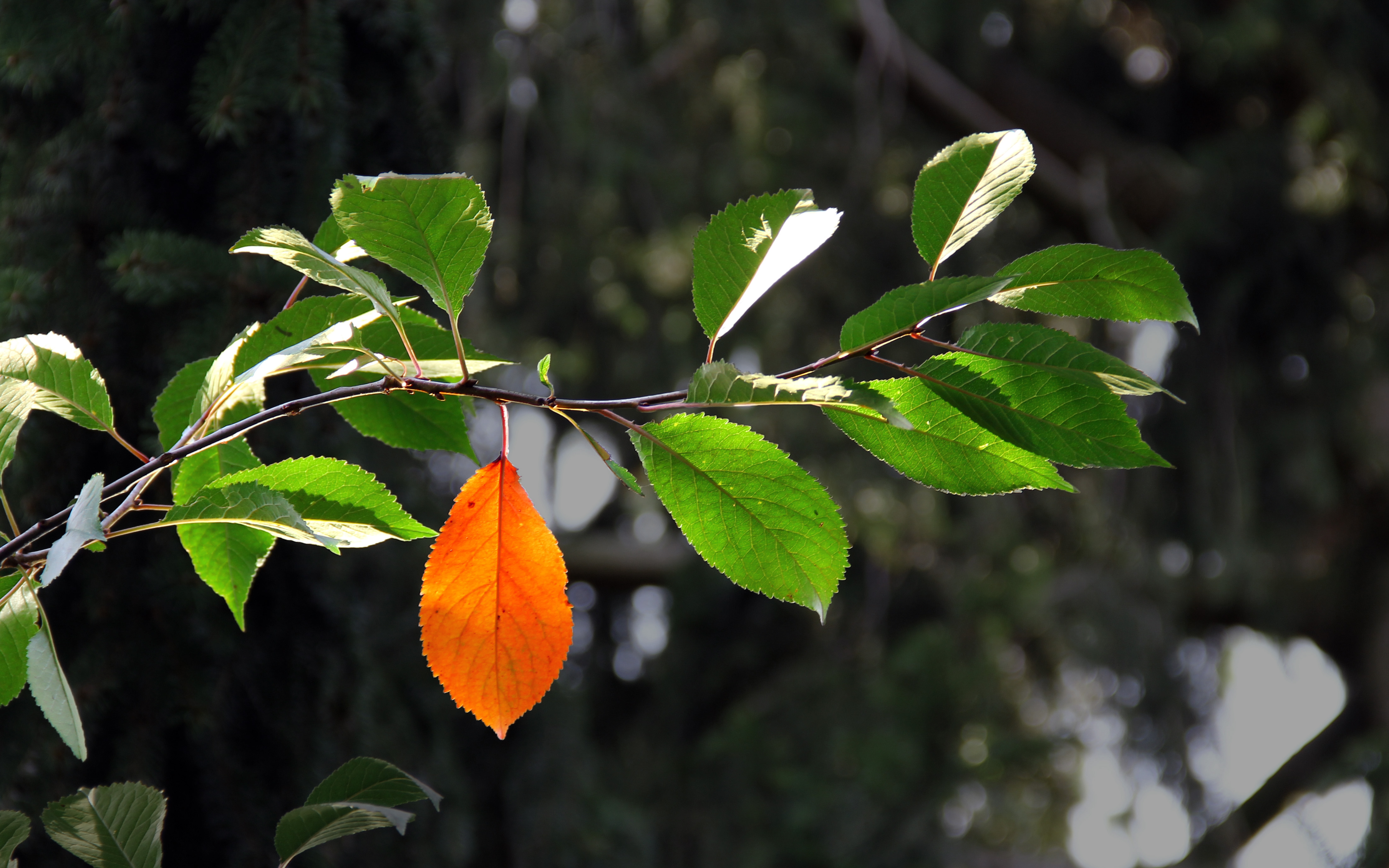 archiv.johannes-glaser.de - Produkte - ContentManagementSystem - 97