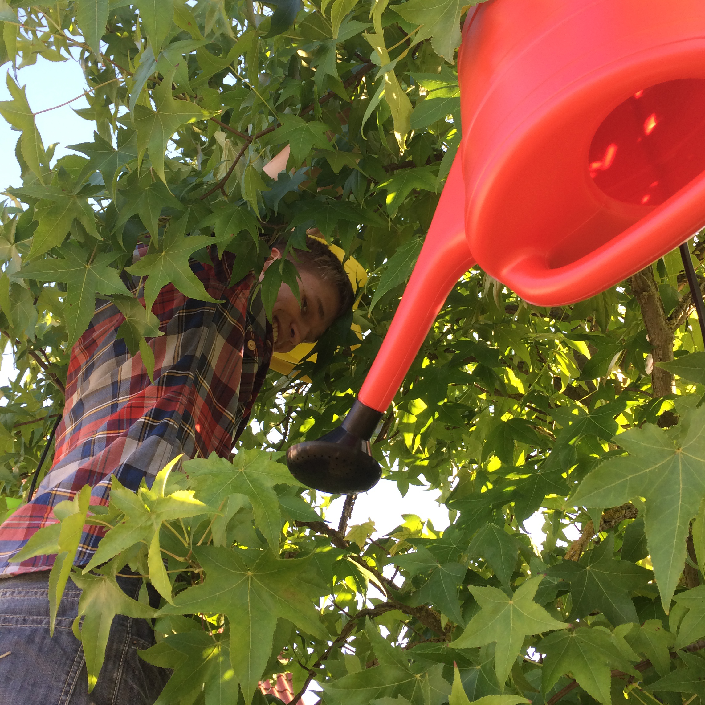 archiv.johannes-glaser.de - Projekte - Kreatives - 92